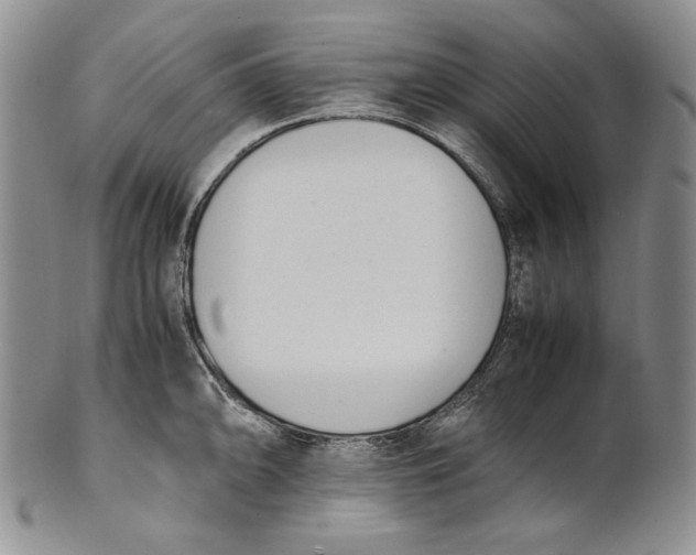 X0000100771094200807101745
