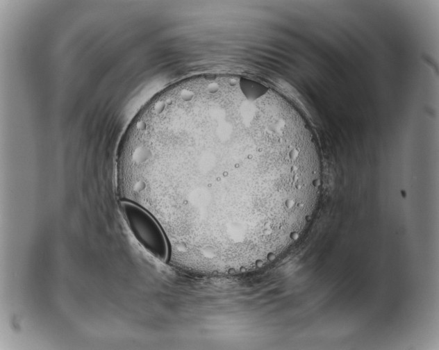 X0000100771095200807101745
