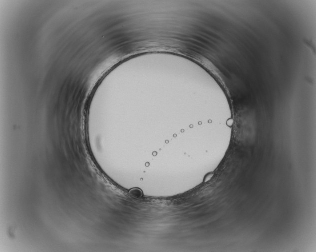 X0000100771096200807101745