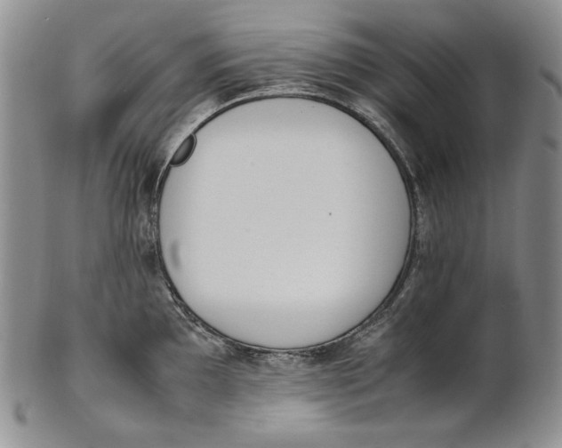 X0000100771097200807101745