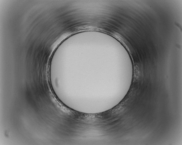 X0000100771098200807101745