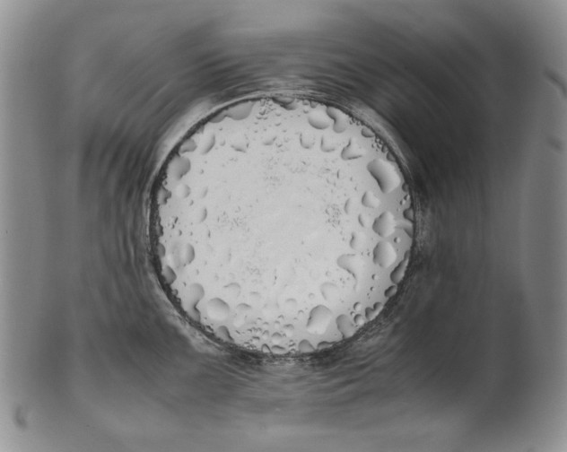 X0000100771099200807101745
