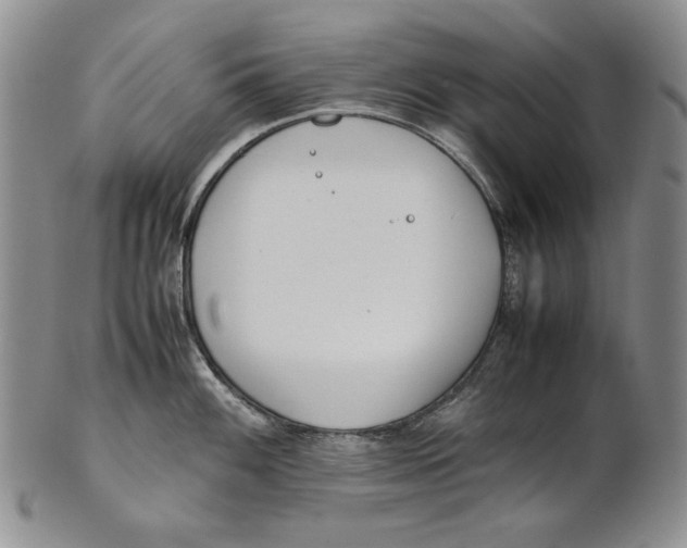 X0000100771100200807101745