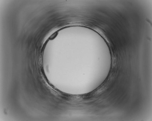 X0000100771101200807101745