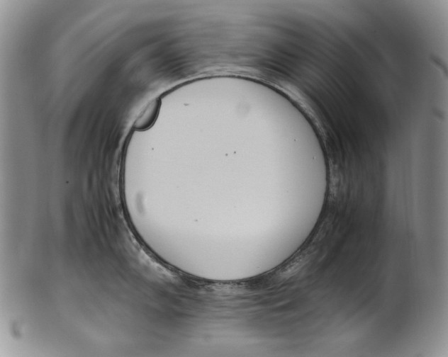 X0000100771102200807101745
