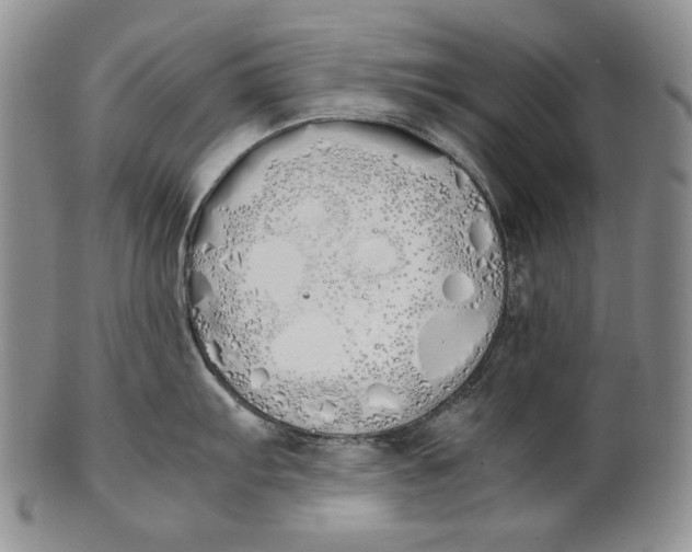 X0000100771103200807101745