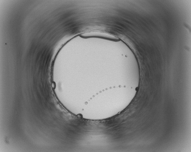 X0000100771104200807101745
