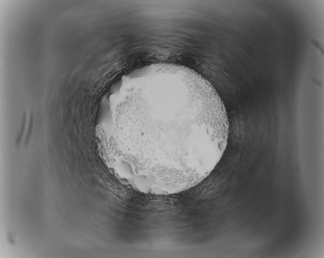 X0000100771105200807101744