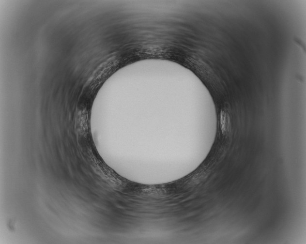 X0000100771107200807101744