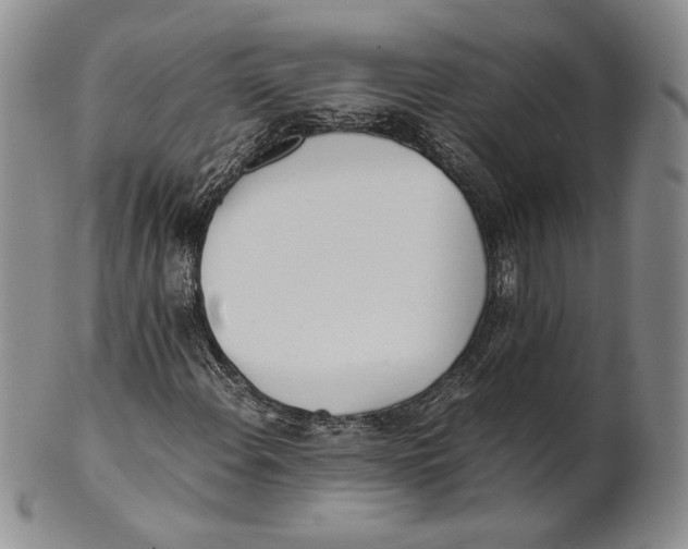 X0000100771108200807101744