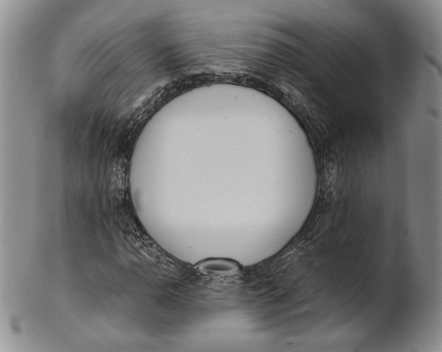 X0000100771110200807101744
