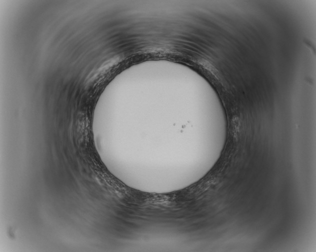 X0000100771111200807101744