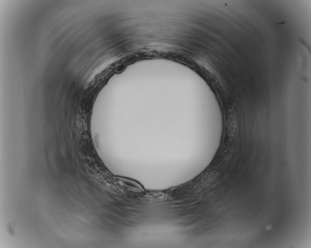 X0000100771112200807101745