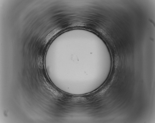 X0000100771113200807101745