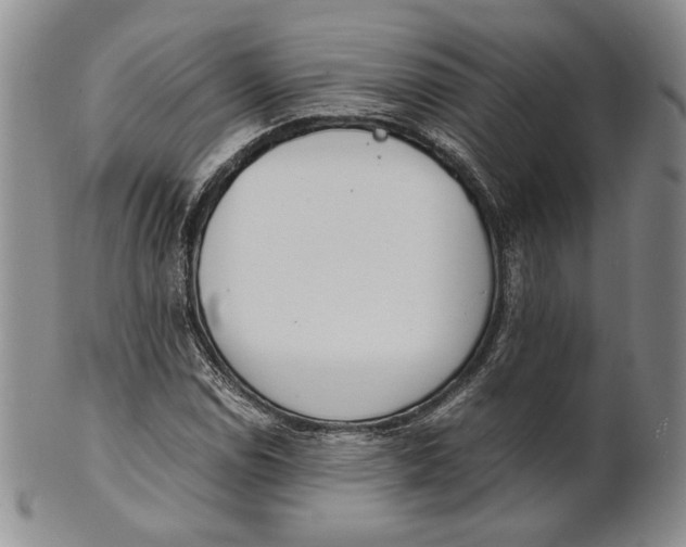 X0000100771114200807101745