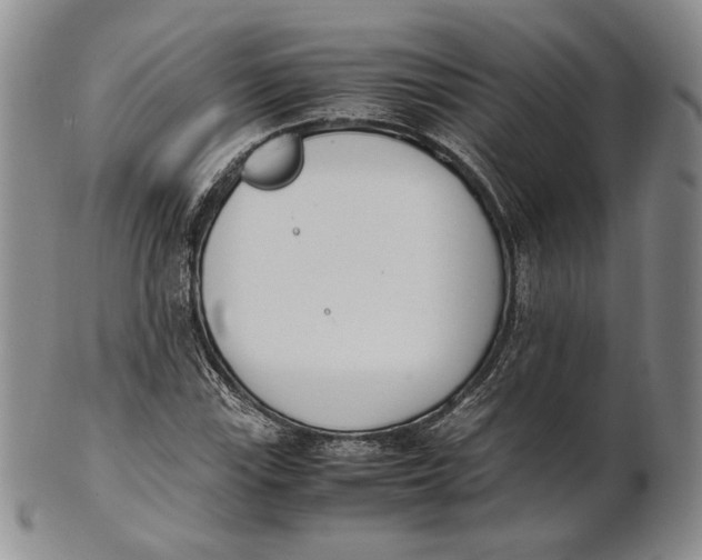X0000100771115200807101745