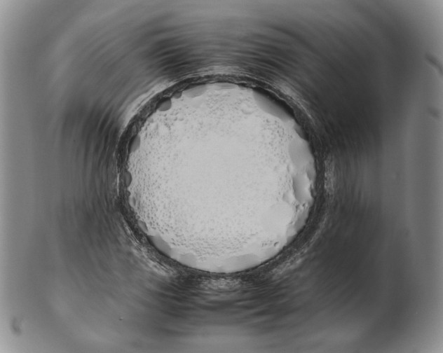 X0000100771117200807101745