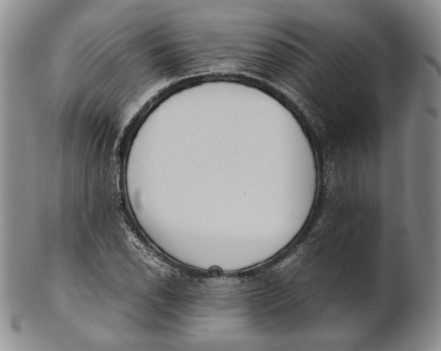 X0000100771118200807101745