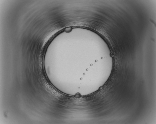 X0000100771120200807101745