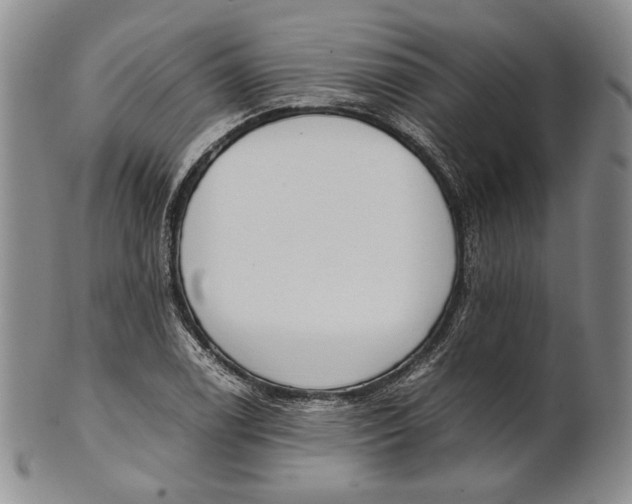 X0000100771122200807101745