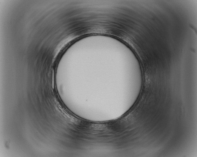 X0000100771123200807101745