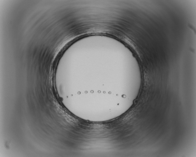 X0000100771124200807101745