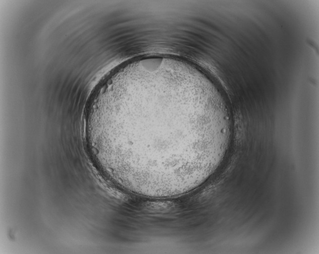 X0000100771125200807101745