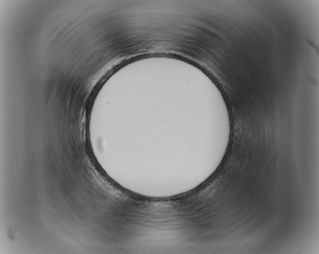 X0000100771126200807101745