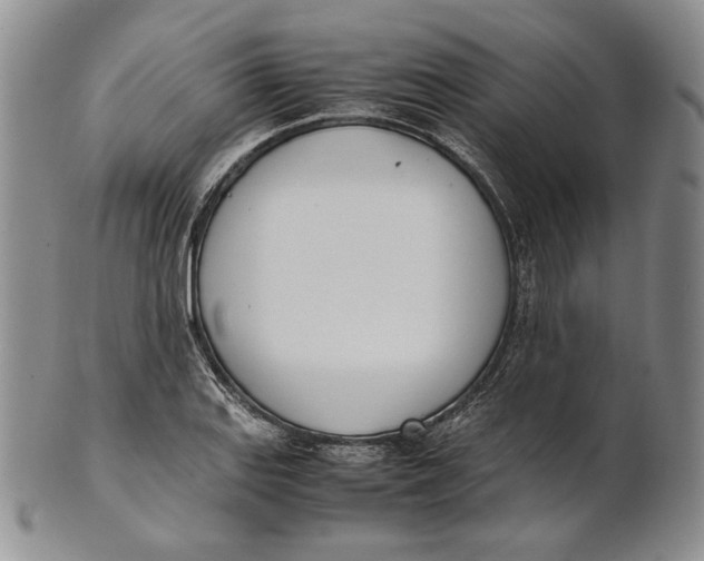 X0000100771127200807101745