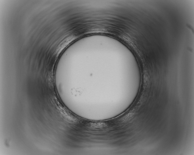 X0000100771129200807101745