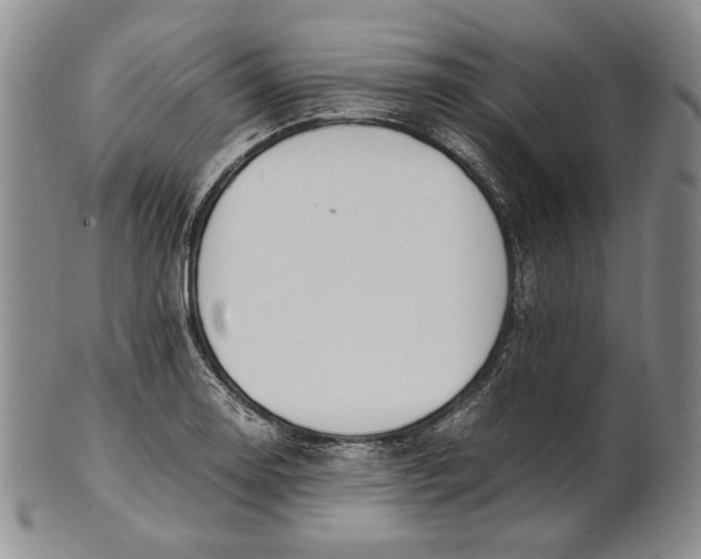 X0000100771130200807101745
