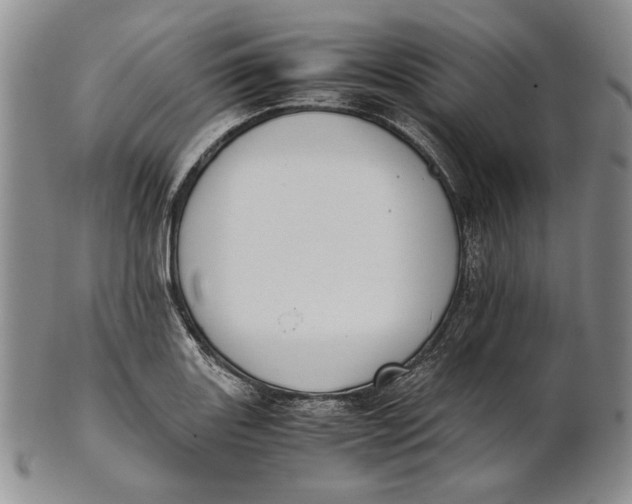 X0000100771131200807101745