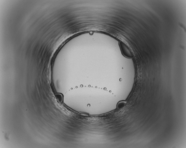 X0000100771132200807101745
