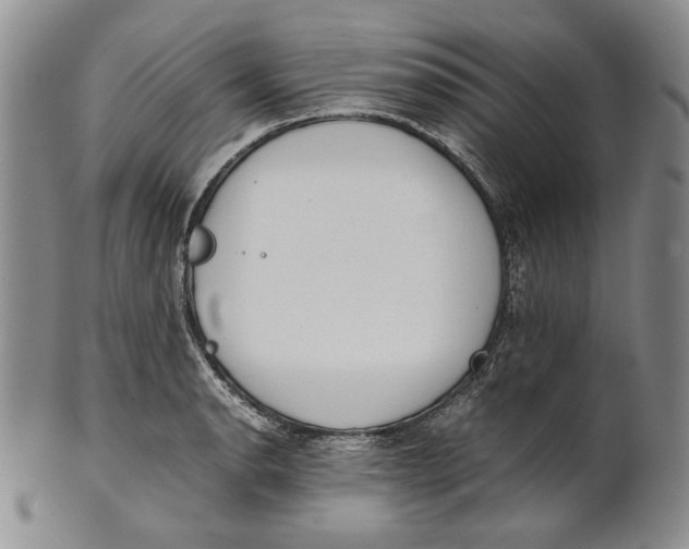 X0000100771134200807101745