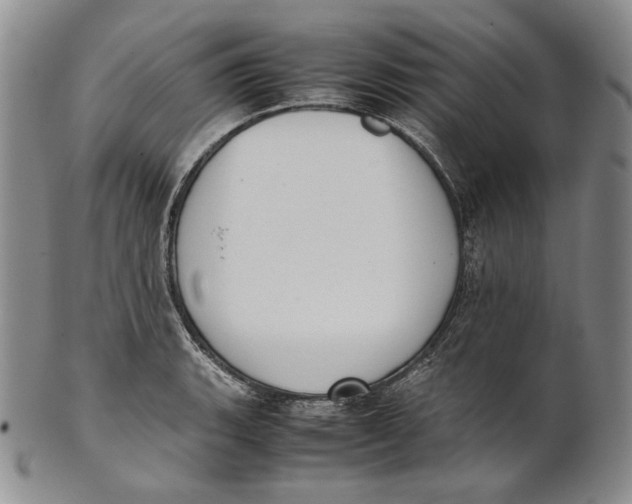 X0000100771135200807101745