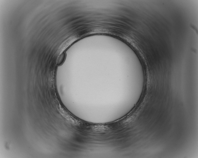 X0000100771137200807101745