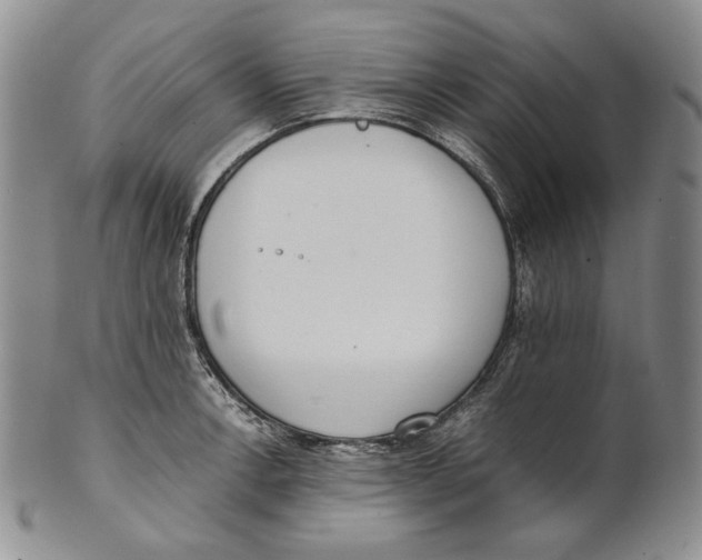 X0000100771138200807101745
