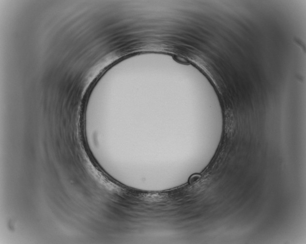 X0000100771139200807101745