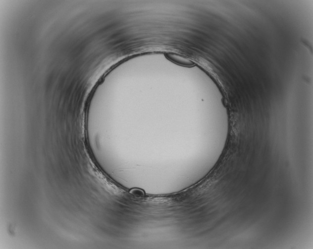 X0000100771140200807101745