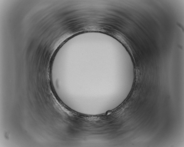 X0000100771141200807101745