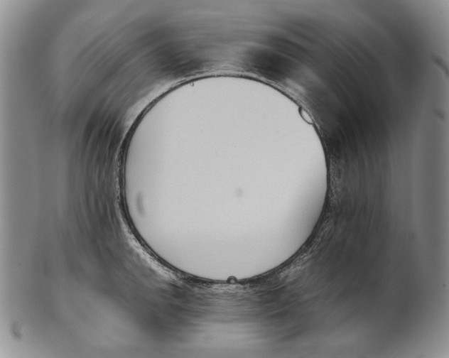 X0000100771142200807101745