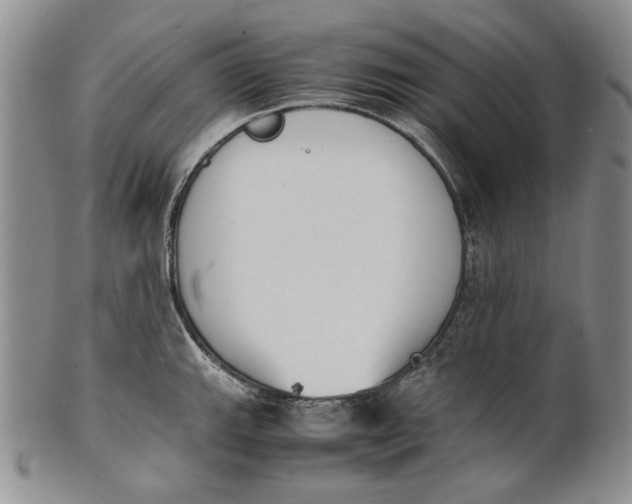 X0000100771143200807101745