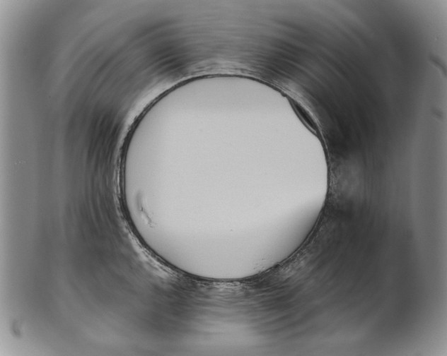 X0000100771144200807101745