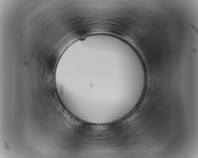 X0000100771145200807101745