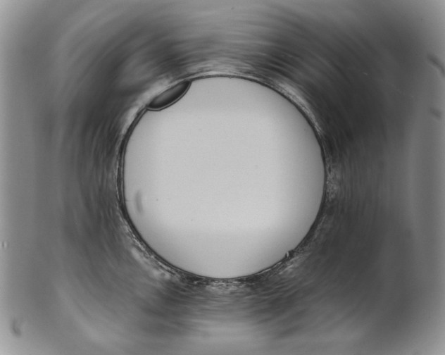X0000100771146200807101745