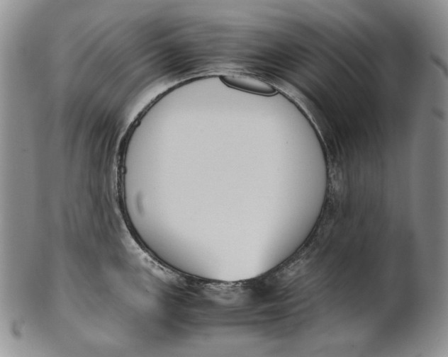 X0000100771147200807101745