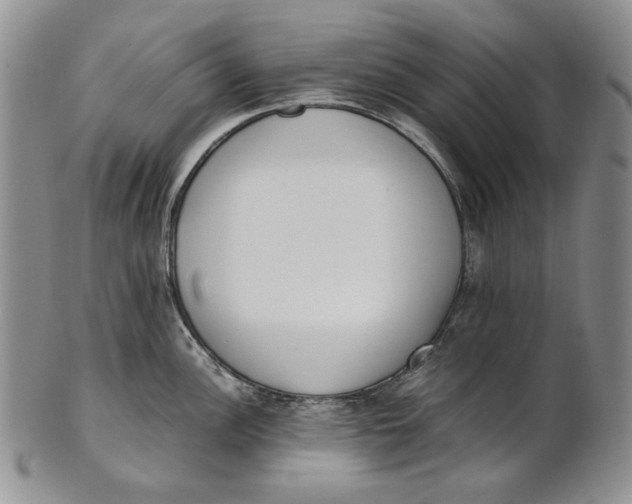 X0000100771148200807101745