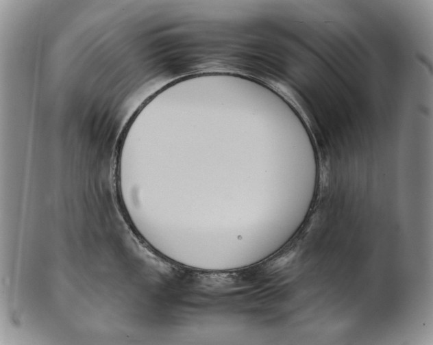 X0000100771149200807101745