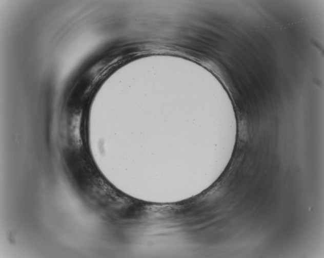 X0000100771150200807101745