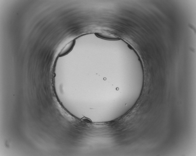 X0000100771152200807101745
